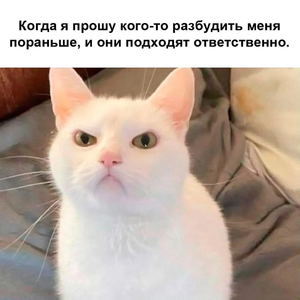 Источник: соцсети