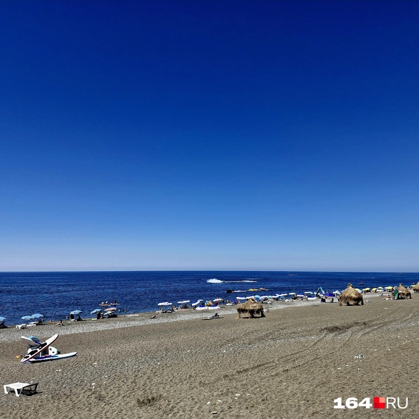 Источник: Виктория Федорова / 164.RU