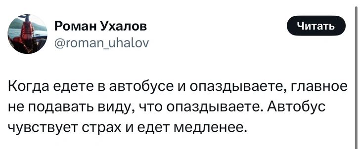 Источник: X (Twitter)