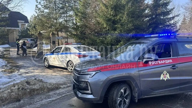 В Стрельне неадекват, уходя от гвардейцев, пробил забор чужого имения | Источник: FONTANKA.RU