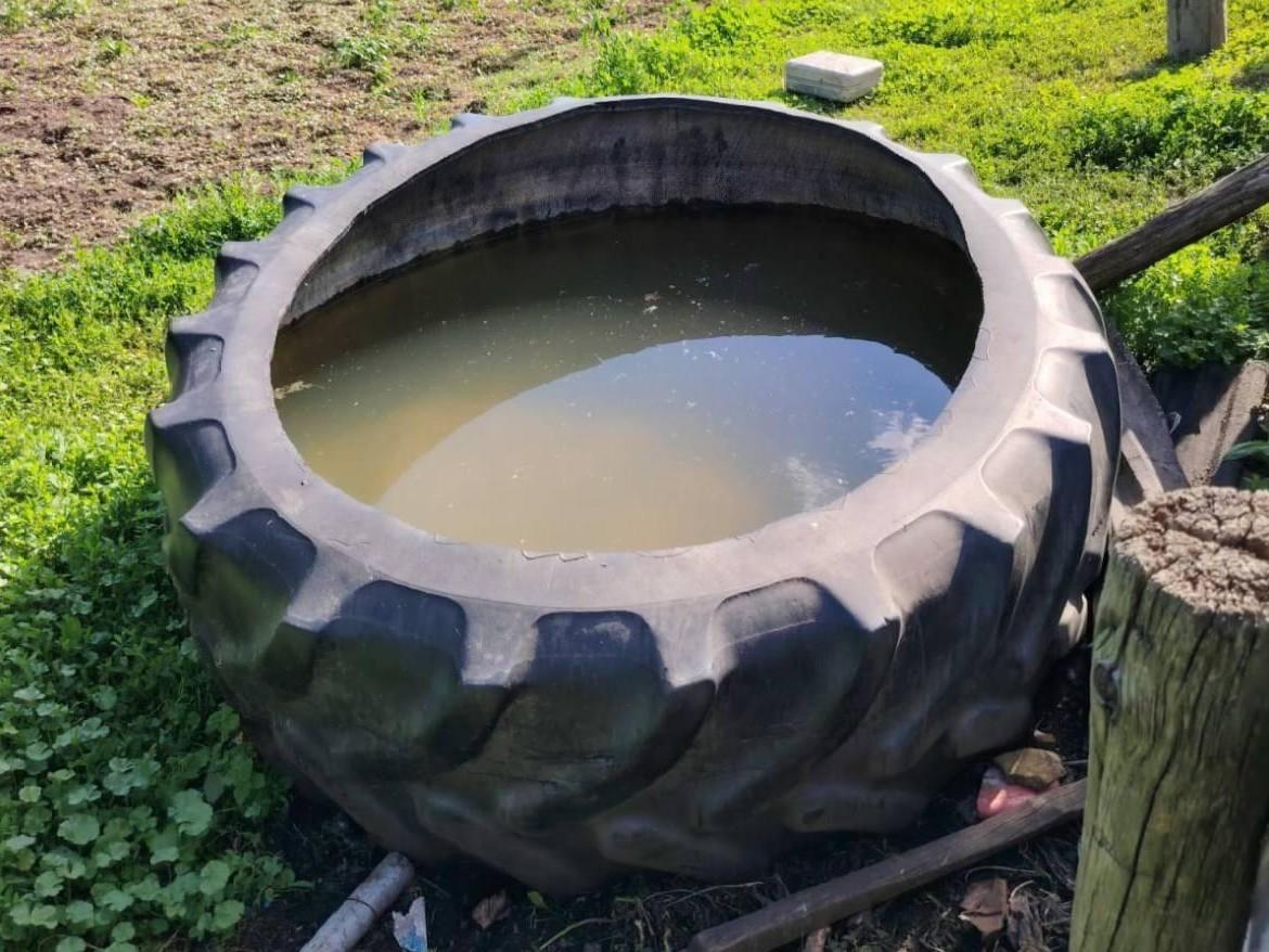 В Татарстане годовалый малыш утонул в покрышке с водой