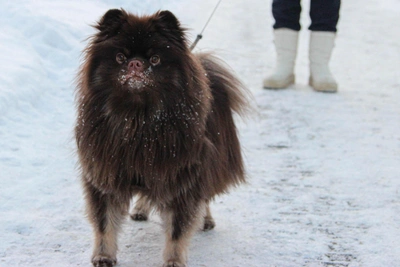В Томске на выходных ударят морозы до -20°C