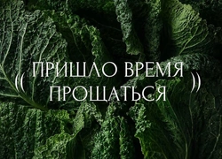 Конец красивого мифа: почему российская мода в 2026 году просит о помощи вслух