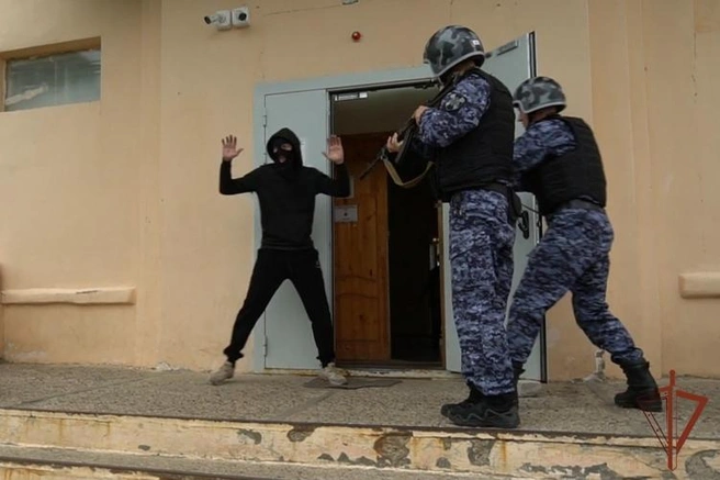 Источник: 43.rosguard.gov.ru