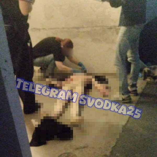 Источник: Svodka 25 / T.me