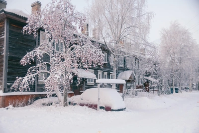 Морозы сохранятся в Архангельской области в среду