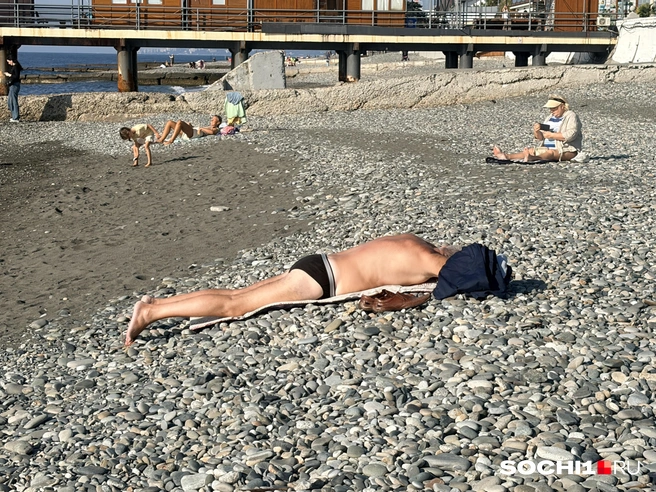 Пляжи свободные  | Источник: Анна Грицевич / SOCHI1.RU