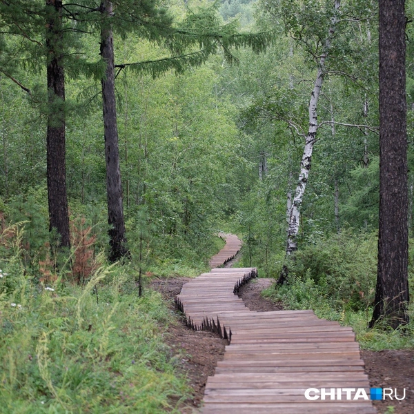 Источник: Олег Федоров / СHITA.RU