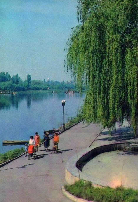 Озеро Карасун (Верхнее Покровское озеро), 1986 год  | Источник: pastvu