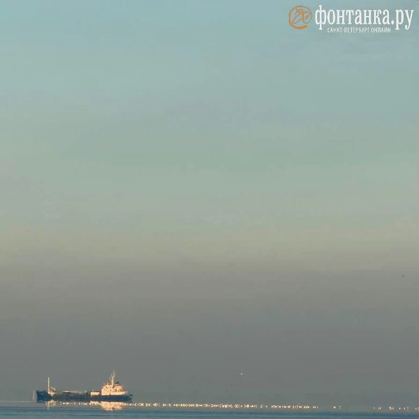 Источник: читатель «Фонтанки»