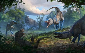 Я вам не подросток! Известная окаменелость «маленького тираннозавра» на самом деле принадлежит другому виду