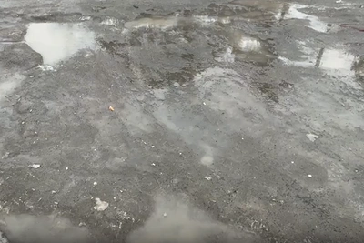 Утром в Новосибирске пошёл дождь, ожидается потепление