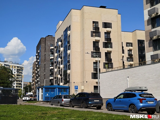 Как проходит реновация в Царицыно | Источник: Дмитрий Бондарев / MSK1.RU