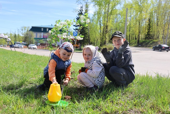 Источник: Фонд Олега Дерипаска «Вольное Дело»