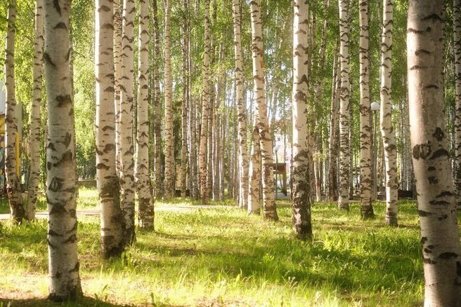 Источник: Сергей Коршилов / Vk.com