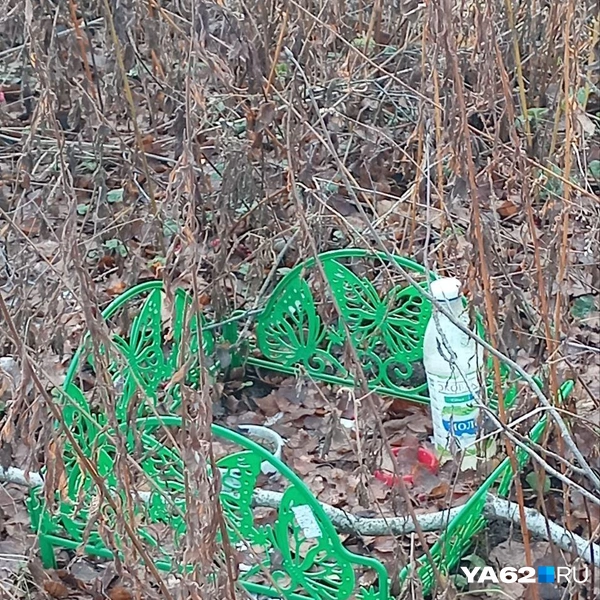 Источник: Анастасия Фокина / YA62.RU