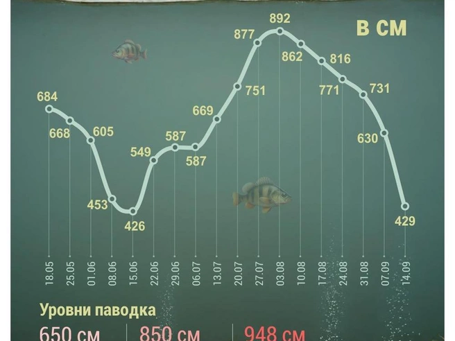 Источник: Дмитрий Гладышев / 72.RU 
