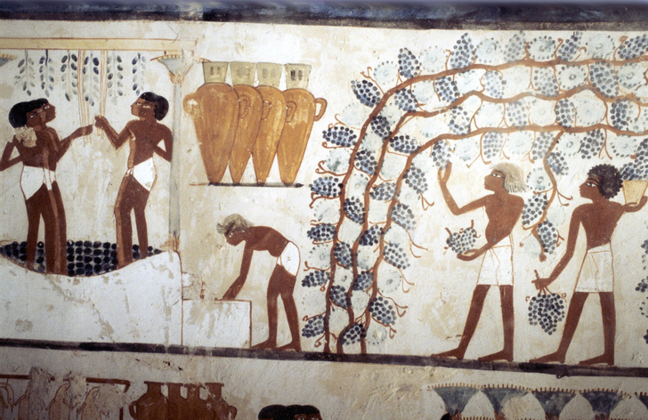 Они были первыми: 4 самых древних алкогольных напитка