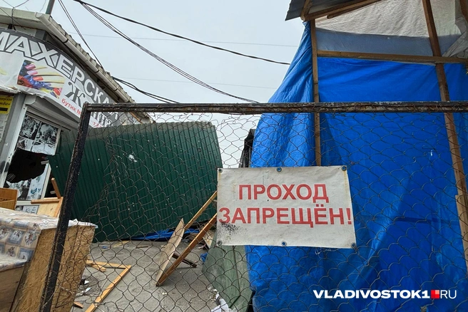 Источник: Елена Буйвол / VLADIVOSTOK1.RU