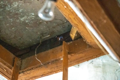 Дело Вахрушева направлено в суд Надеждинского района