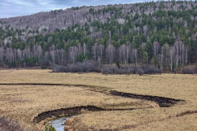 В Башкирии земель без торгов отдали вдвое больше