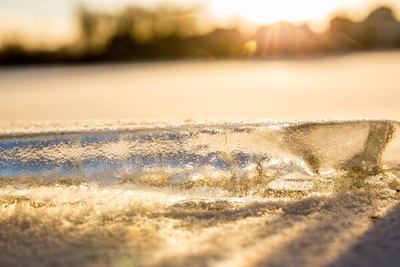 Могущница: почему 20 февраля нельзя выносить мусор