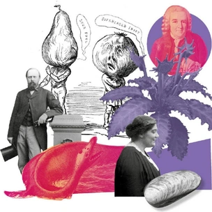 Оскорбительная почесть: как ученые мстили недругам, называя их именами новые виды