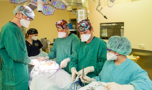 Хирурги прооперировали петербуржца: у него припухлость на бедре выросла в 7-килограммовую опухоль