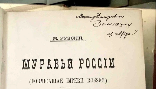 Особое место в поле интересов Михаила Рузского занимали муравьи  | Источник: Руслан Багиров