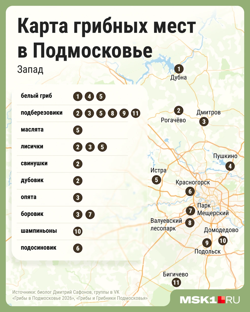 Чтобы набрать лукошко, необязательно уезжать далеко от Москвы | Источник: Мария Романова / Городские медиа