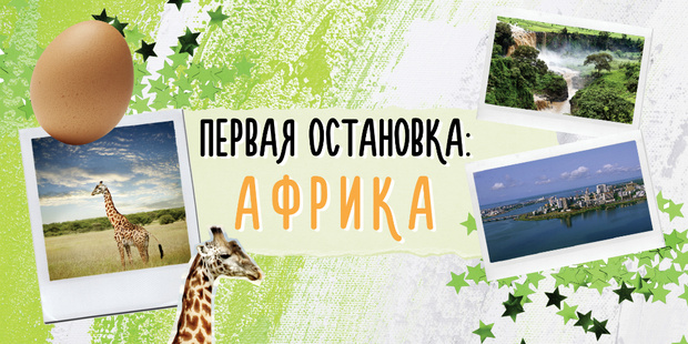 Фото №1 - Как отмечают Новый год в разных странах мира