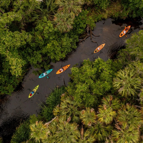 Победитель в номинации «Рекреация» | Источник: Jeff Howe / Florida Wildlife Federation Photo Contest 2025