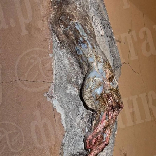 Источник: предоставлено «Фонтанке»