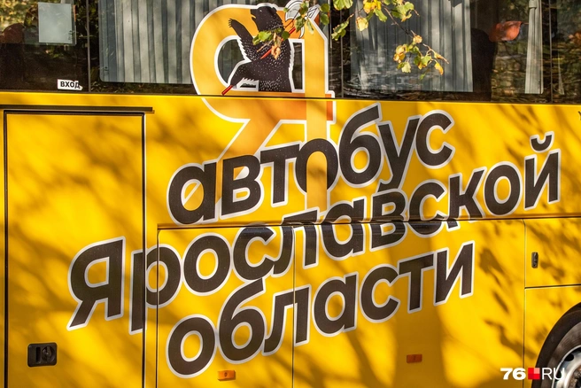 В ГКУ «Организатор перевозок» также заметили рост цен на топливо | Источник: Кирилл Поверинов / 76.RU