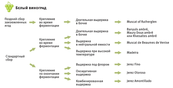 Как производят вина и какими они бывают: краткий гид с картинками