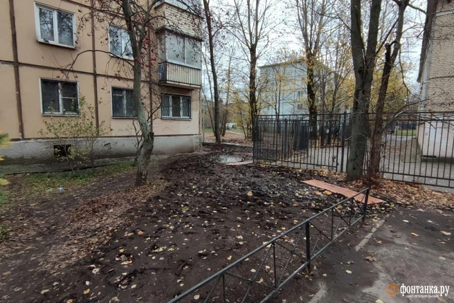 автор фото Павел Каравашкин/«Фонтанка.ру»