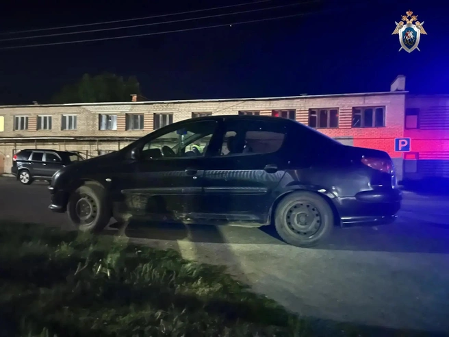 Водитель Peugeot управлял автомобилем в нетрезвом виде и без прав | Источник: СУ СКР по Челябинской области 