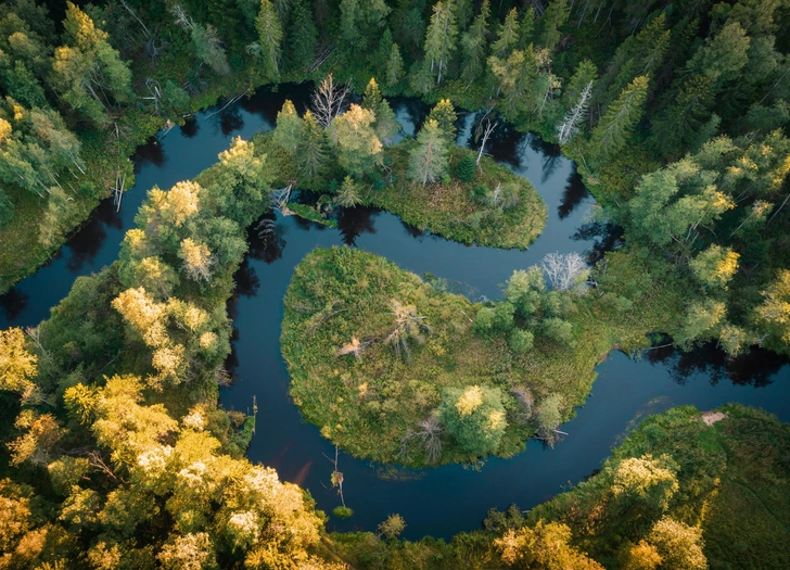 Источник: Shutterstock/Fotodom.ru