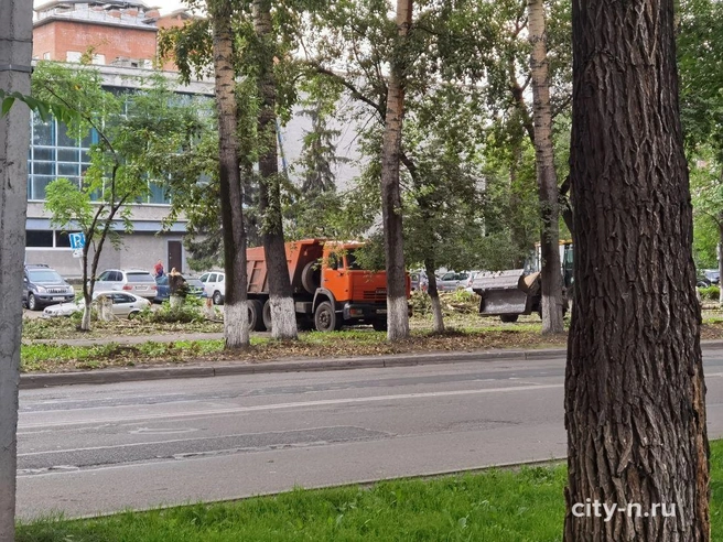 Источник: city-n.ru