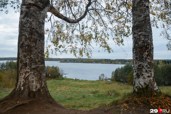 Источник: Иван Митюшёв / 29.RU