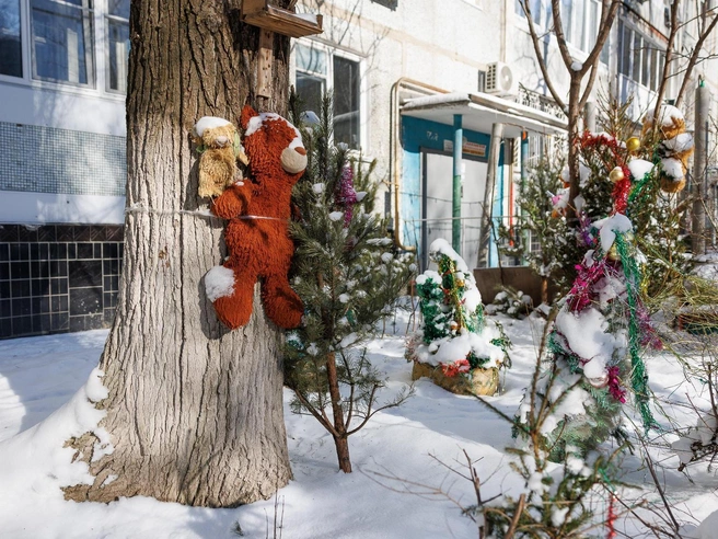 Жители Волгограда надеются на милость природы в эту холодную зиму. | Источник: Алексей Волхонский / V1.RU
