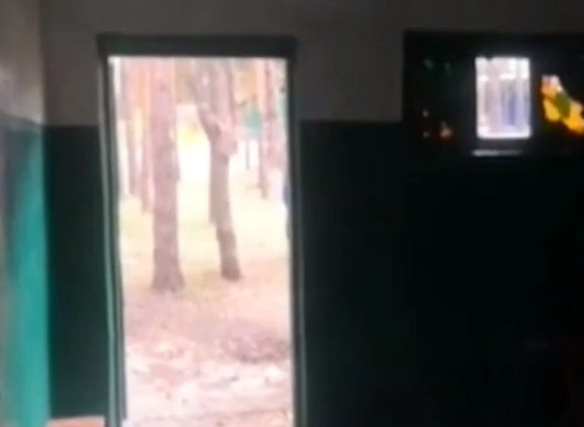 В рязанский лагерь, ужаснувший иркутских школьников, нагрянула прокуратура | ya62.ru