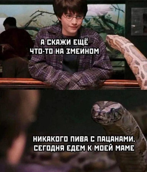 Дико смешные мемы, понятные лишь тем, кто смотрел фильмы про Гарри Поттера