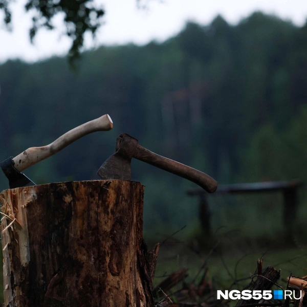 Без топора в лесу не обойтись | Источник: Евгений Софийчук / NGS55.RU