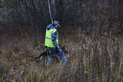 Пенсионера ищут в Ревде уже неделю