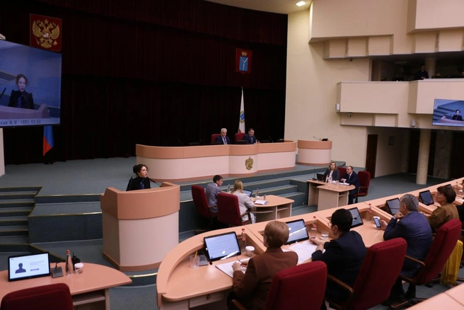 Депутаты борются с продажей вейпов несовершеннолетним | Источник: Саратовская областная Дума / Telegram