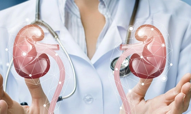 Ученые создали универсальную почку, которая подходит человеку с любой группой крови