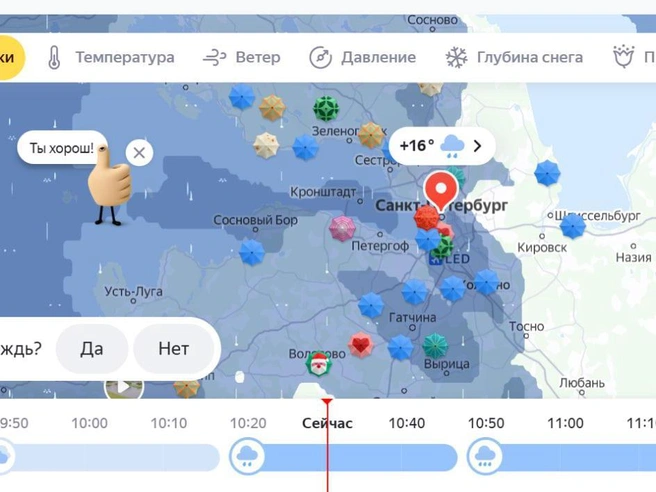 Источник: «Яндекс»