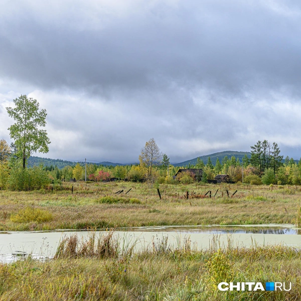 Источник: Олег Фёдоров / CHITA.RU