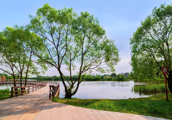 Источник: Fotiy_Svetlana / Shutterstock.com